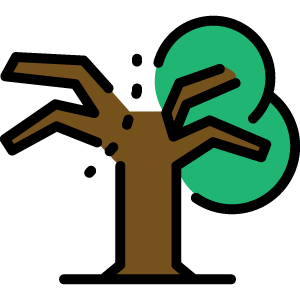 icon_brokentree