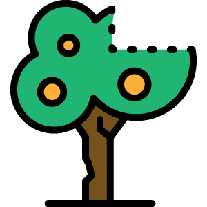 icon_orangetree